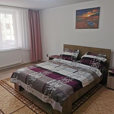 Apartament Bucovina Apartamento Câmpulung Moldovenesc Exterior foto
