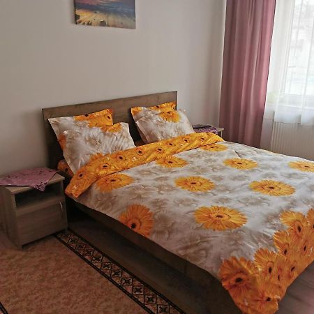 Apartament Bucovina Apartamento Câmpulung Moldovenesc Exterior foto