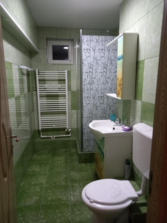 Apartament Bucovina Apartamento Câmpulung Moldovenesc Exterior foto