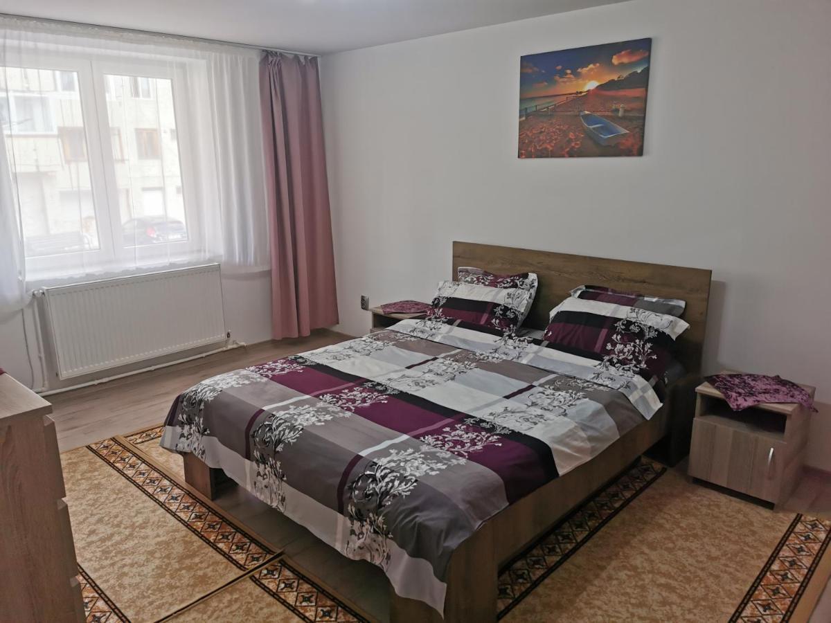 Apartament Bucovina Apartamento Câmpulung Moldovenesc Exterior foto