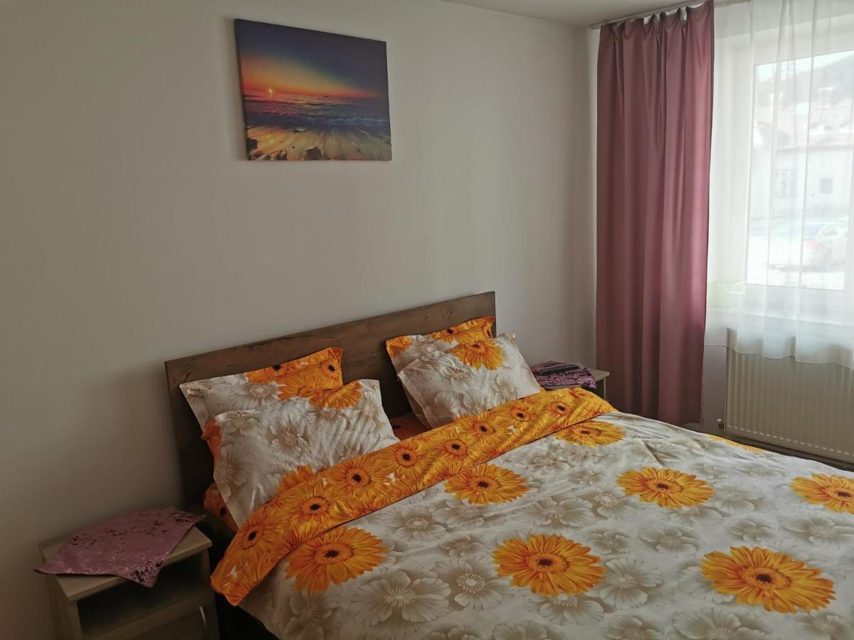 Apartament Bucovina Apartamento Câmpulung Moldovenesc Exterior foto