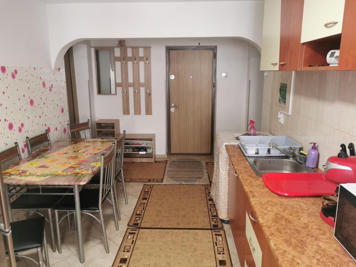 Apartament Bucovina Apartamento Câmpulung Moldovenesc Exterior foto